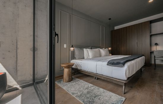 Indigo Veracruz Roma norte Apt 1B I 1B