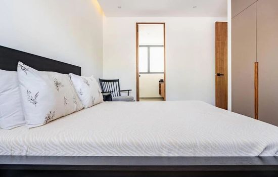 Exclusive Loft: Comfort and Style near Coyoacan