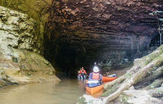Alabama Mountain Winter Cabins Near Lake Guntersville | Fireplace Vibes + Pet-Friendly